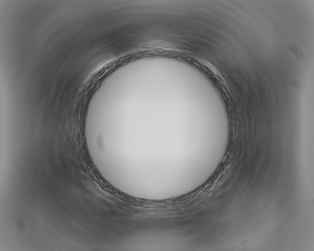 X0000113161112200909040947