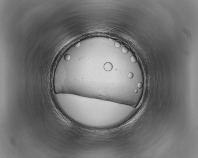X0000113161113200909040947