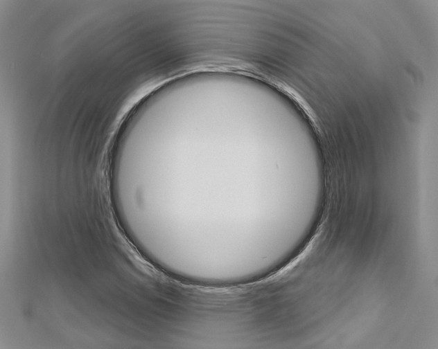 X0000113161114200909040947