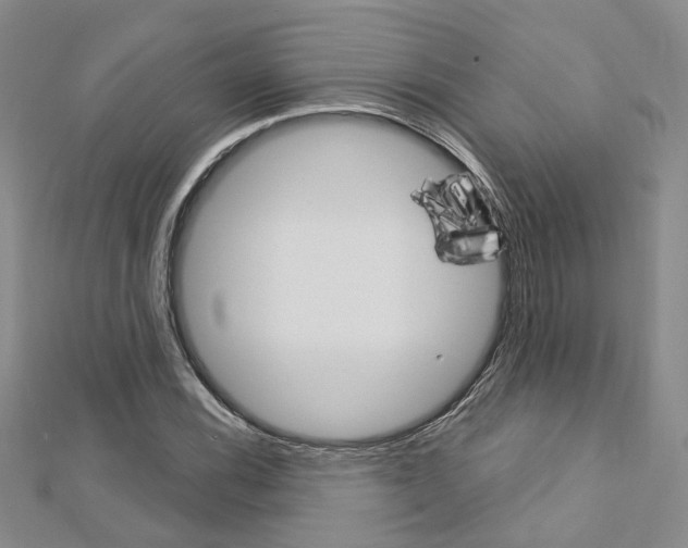 X0000113161116200909040947