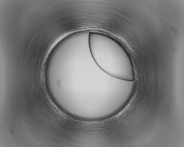 X0000113161118200909040947