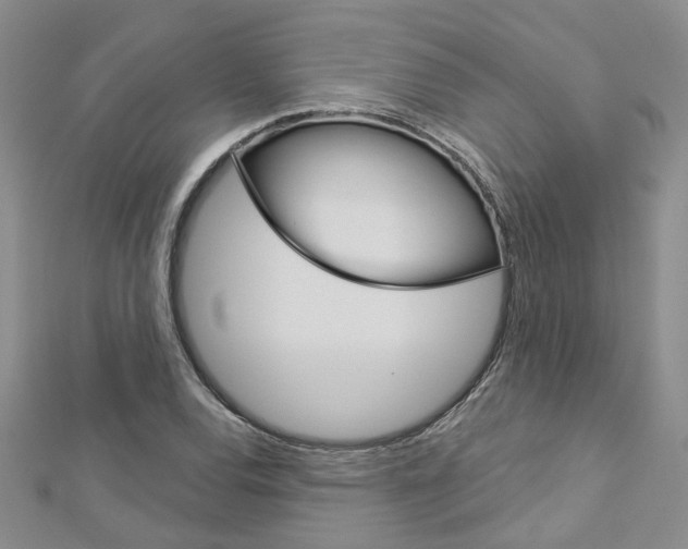 X0000113161120200909040947