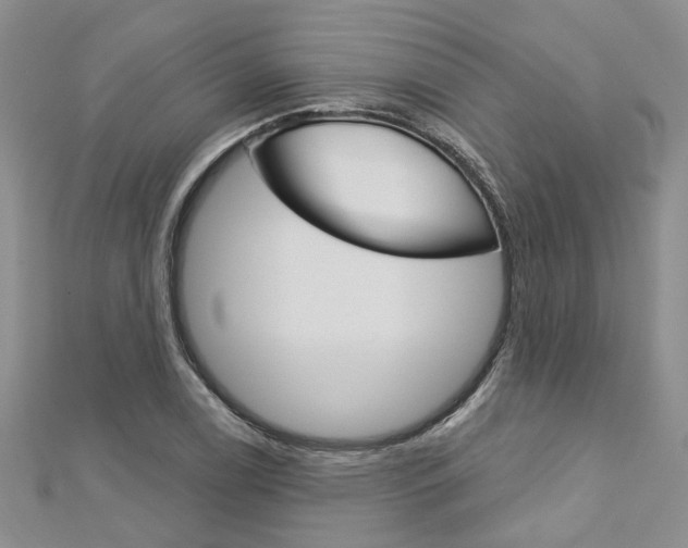 X0000113161122200909040947