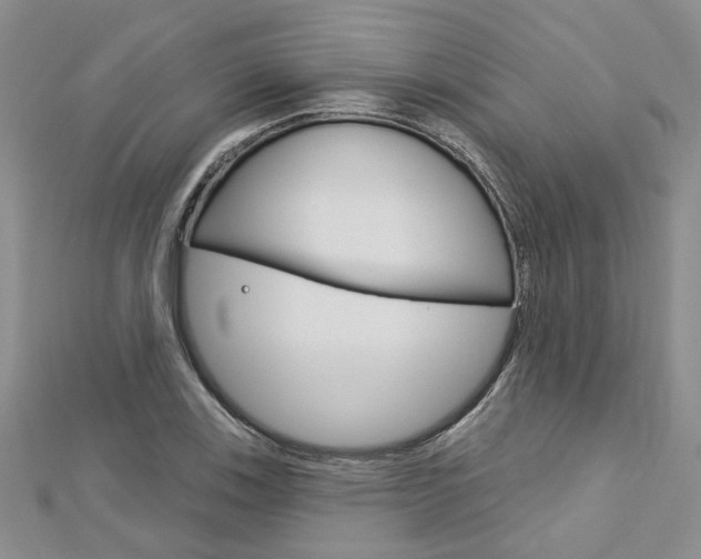 X0000113161123200909040947