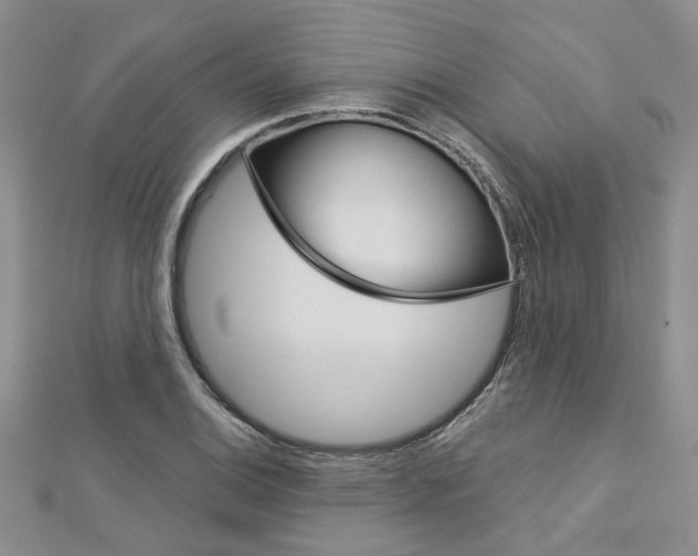 X0000113161124200909040947