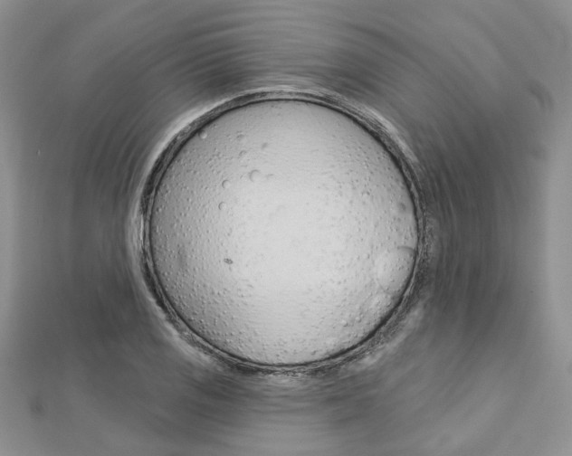 X0000113161125200909040947