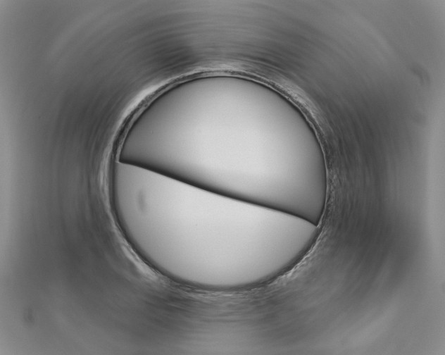 X0000113161127200909040947