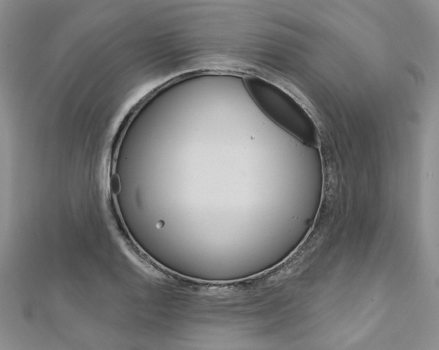 X0000113161128200909040947