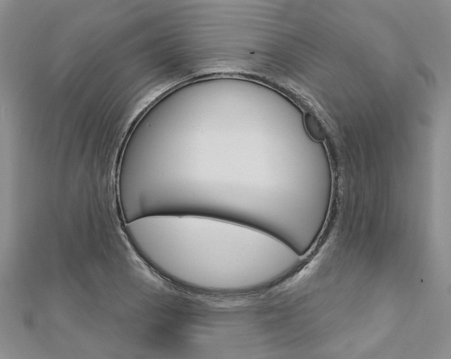 X0000113161129200909040947