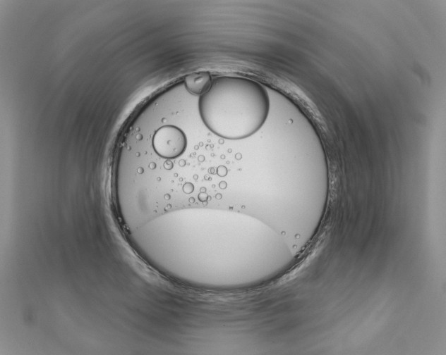 X0000113161130200909040947