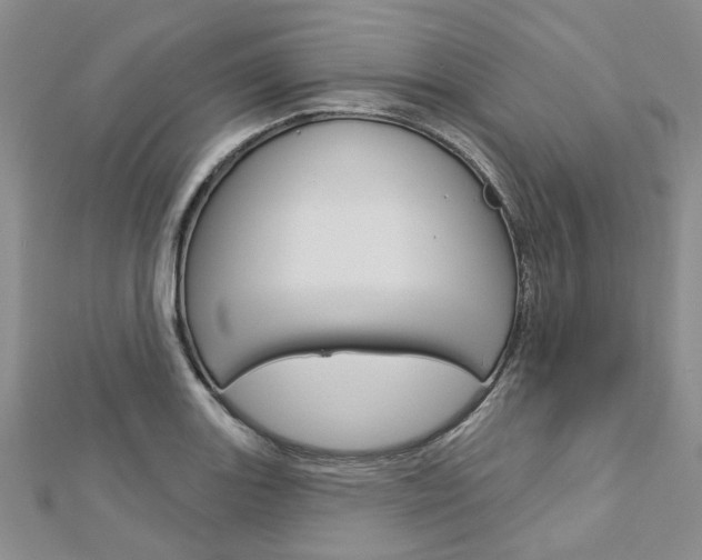X0000113161131200909040947
