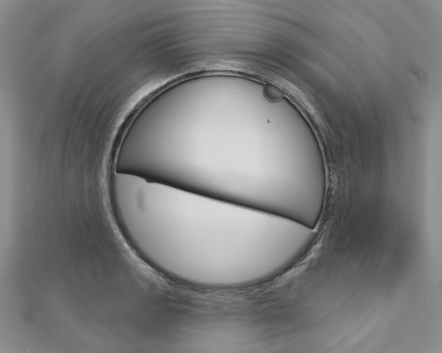 X0000113161133200909040947