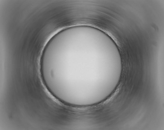 X0000113161134200909040947