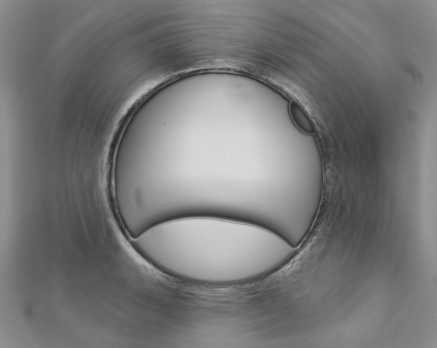 X0000113161135200909040947