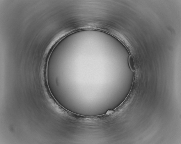 X0000113161138200909040947