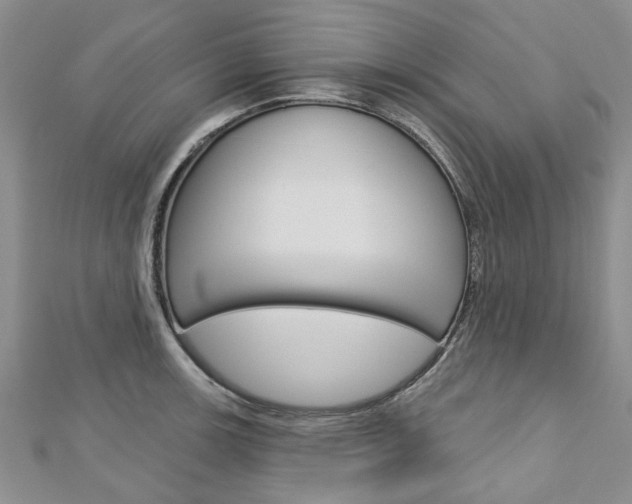 X0000113161139200909040947
