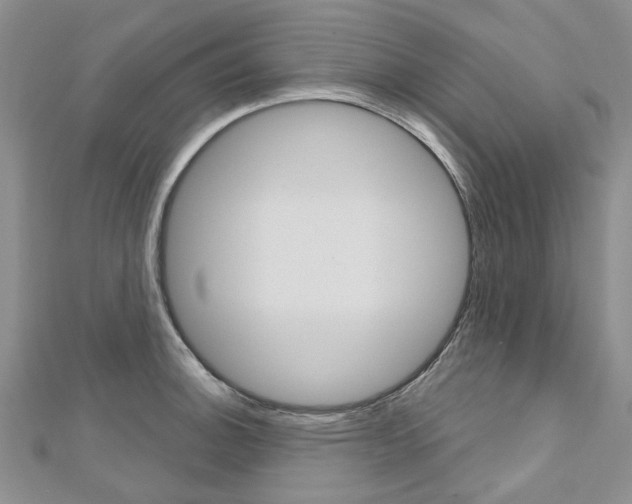 X0000113161140200909040947