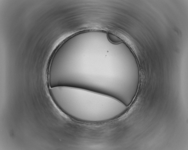 X0000113161141200909040947