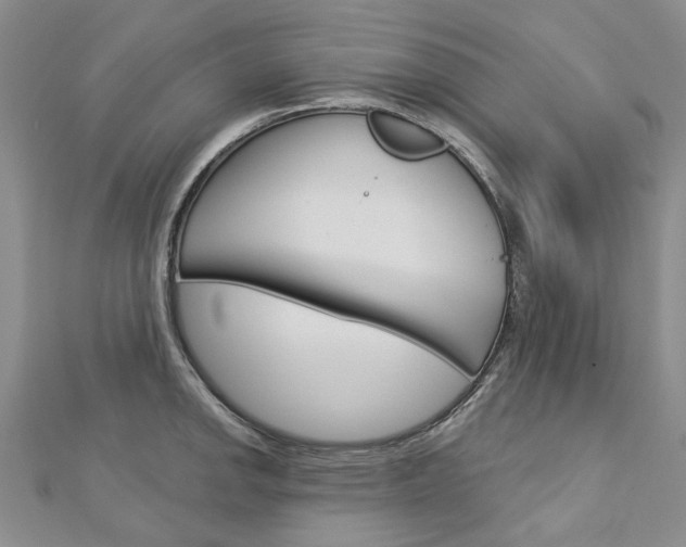 X0000113161142200909040947
