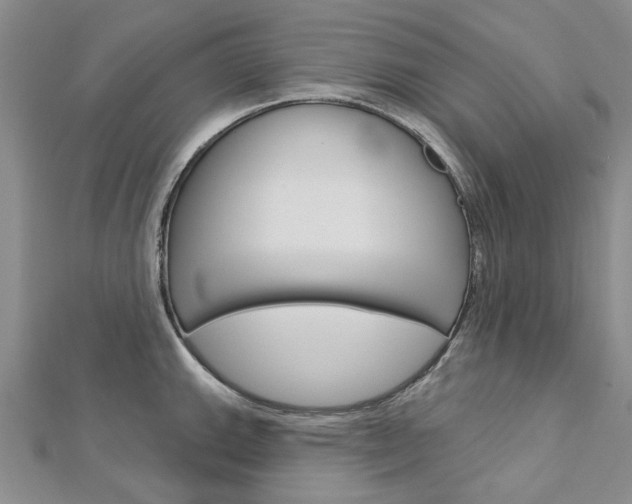 X0000113161143200909040947