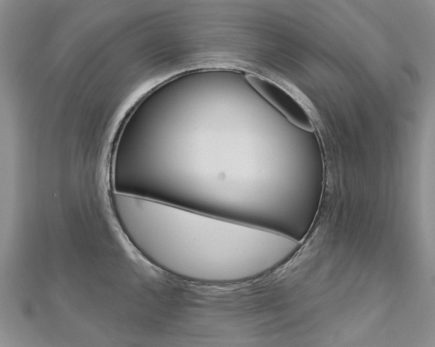 X0000113161144200909040947