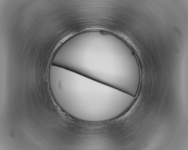 X0000113161145200909040947