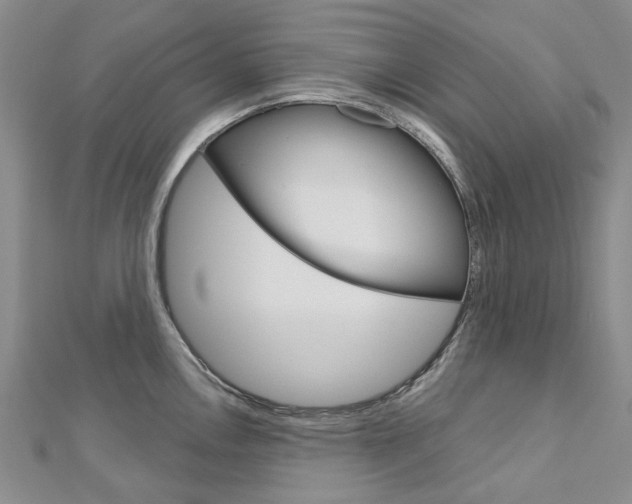 X0000113161146200909040947