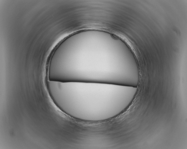 X0000113161147200909040947