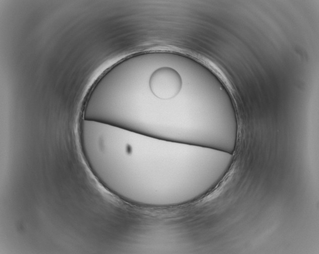 X0000113161149200909040947