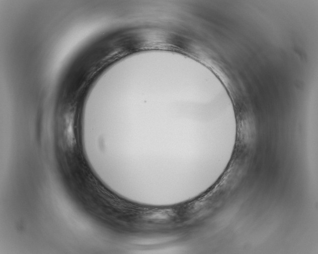 X0000113161150200909040947