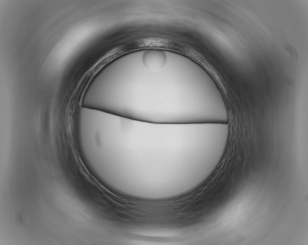 X0000113161151200909040947