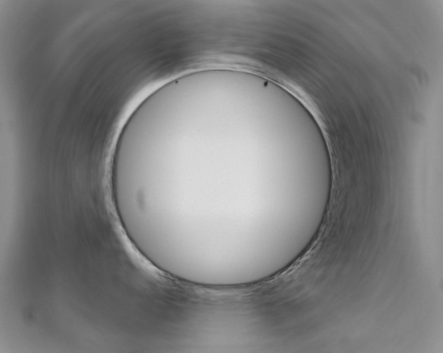 X0000113161152200909040947