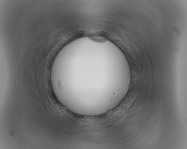 X0000113161153200909040947