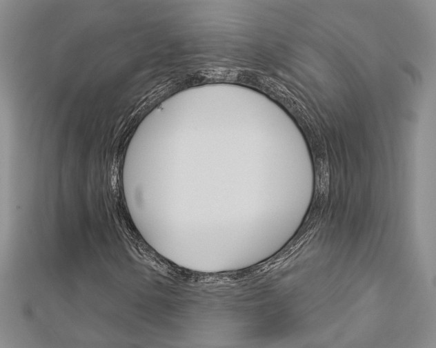 X0000113161154200909040947