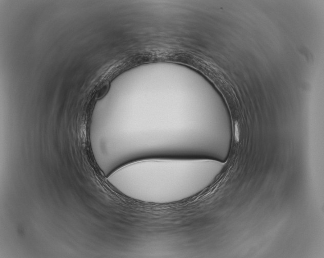 X0000113161155200909040947