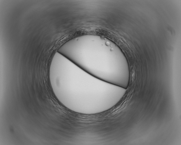 X0000113161156200909040947