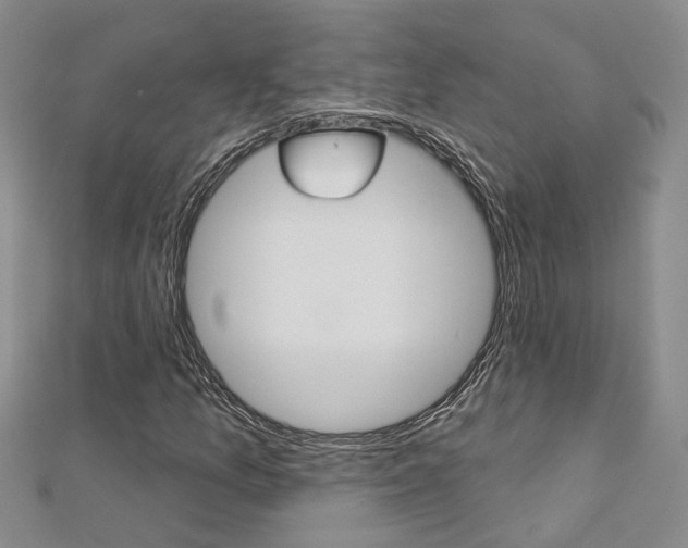 X0000113161157200909040947