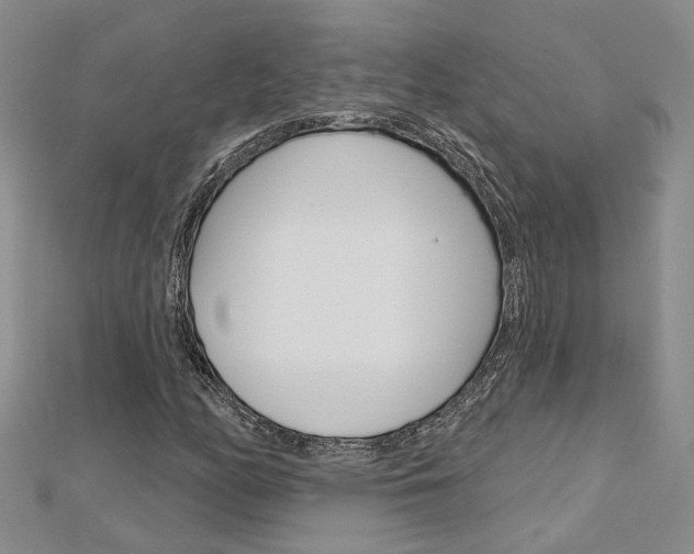 X0000113161158200909040947