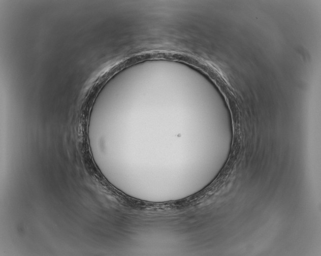 X0000113161159200909040947