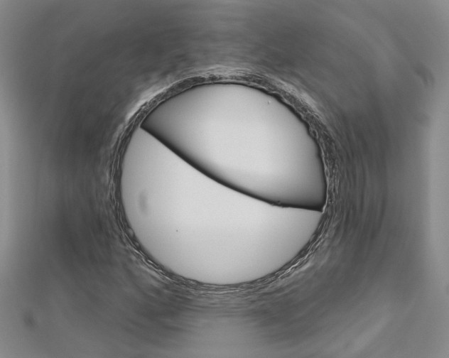 X0000113161160200909040947