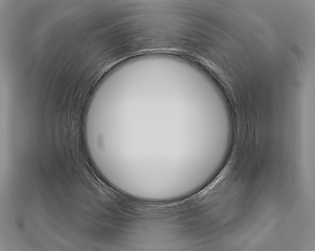 X0000113161161200909040947