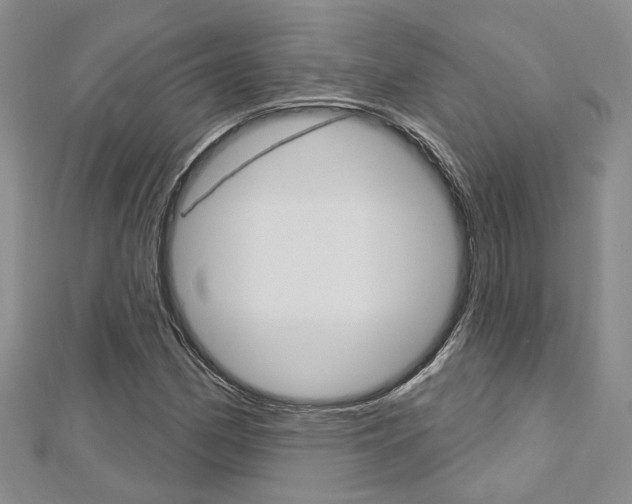 X0000113161162200909040947