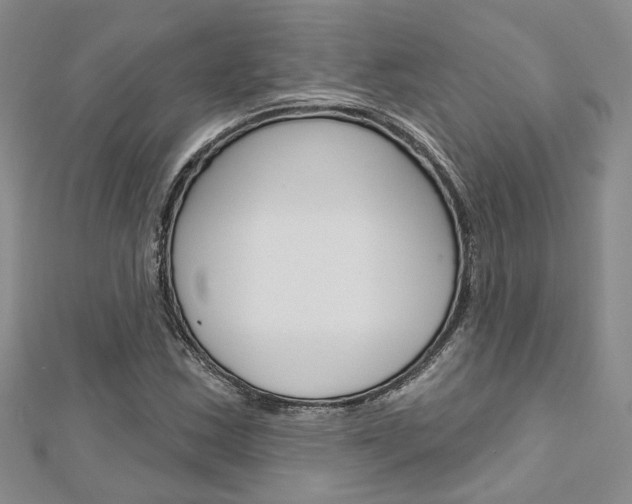 X0000113161163200909040947
