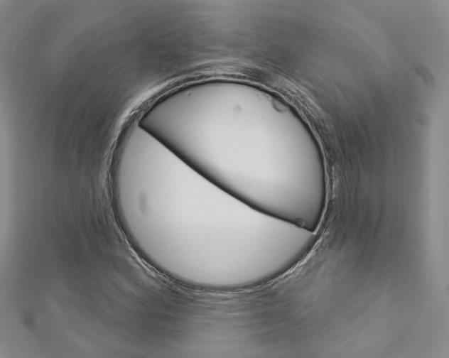 X0000113161164200909040947