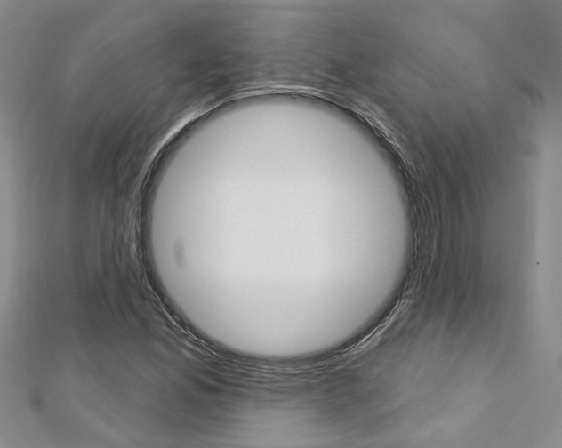 X0000113161165200909040947
