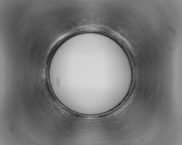 X0000113161166200909040947