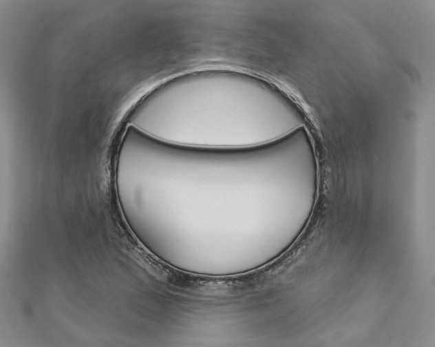 X0000113161167200909040947