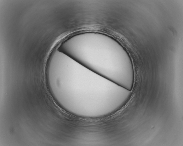 X0000113161168200909040947
