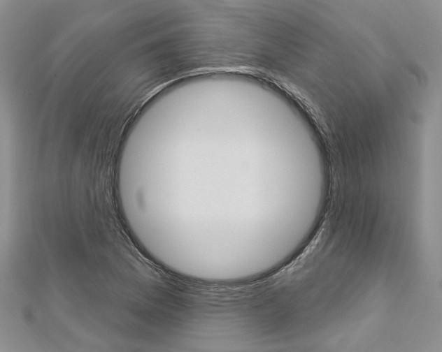 X0000113161169200909040947