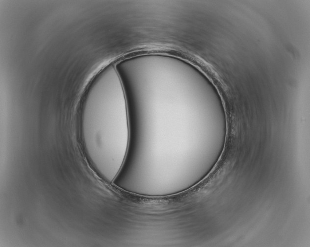 X0000113161171200909040947